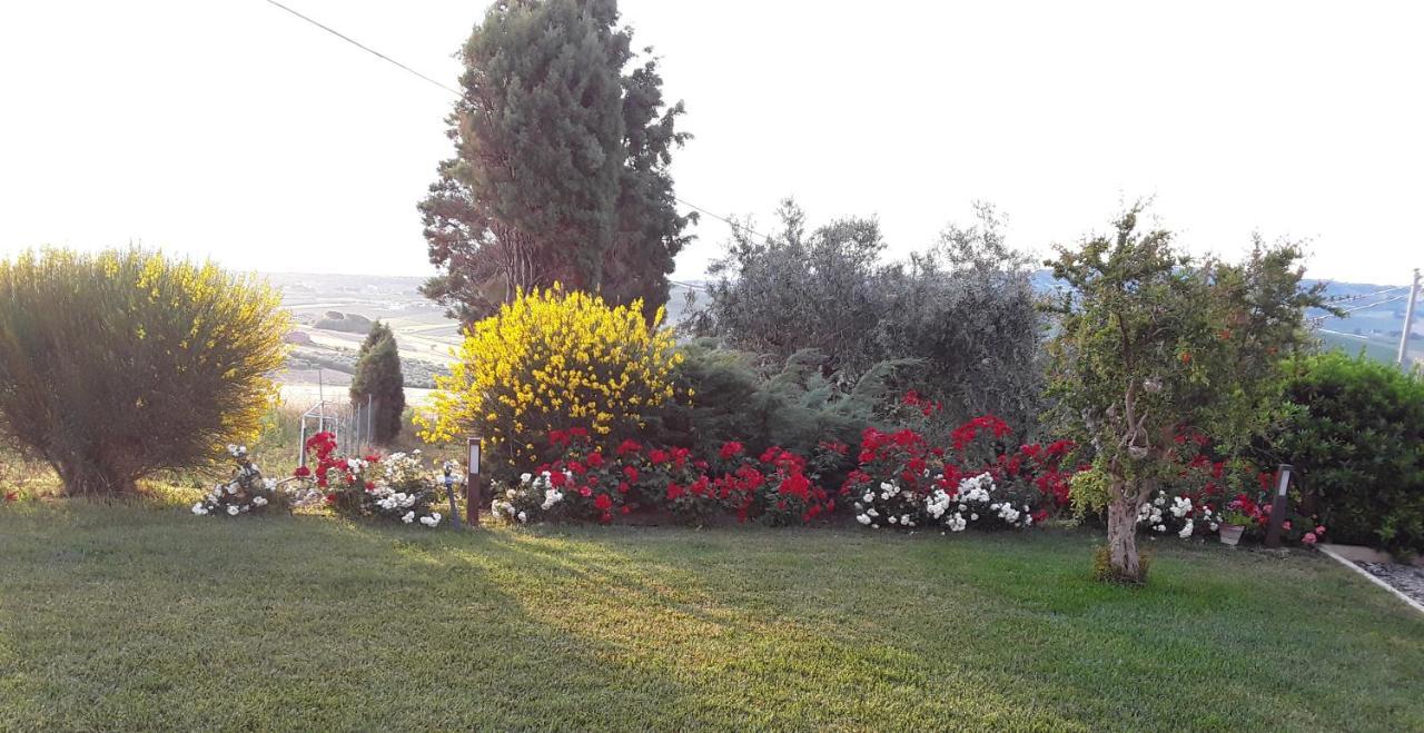 In Collina Sul Mare... Montenero di Bisaccia Exterior foto